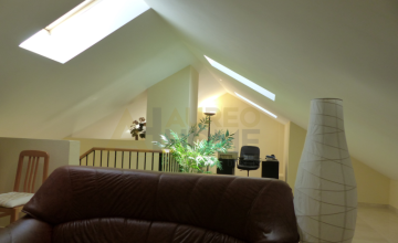 SPACIOUS AND BRIGHT HOUSE in Oromana 29