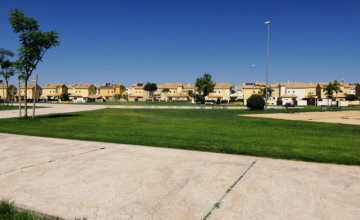 SPACIOUS AND BRIGHT HOUSE in Oromana 36