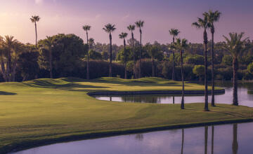 SPECTACULAR VIEWS on the first line of the golf course 44