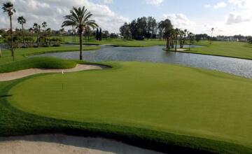 SPECTACULAR VIEWS on the first line of the golf course 50