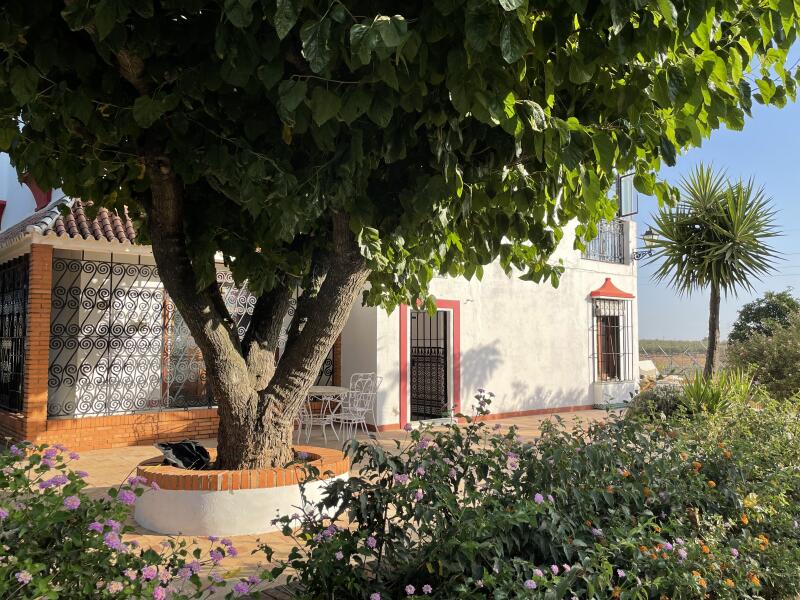 Espectacular Chalet Rústico Independiente en Amplia Parcela