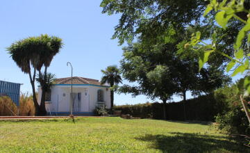 Espectacular Chalet Rústico Independiente en Amplia Parcela 7