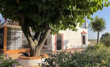 Espectacular Chalet Rústico Independiente en Amplia Parcela 3