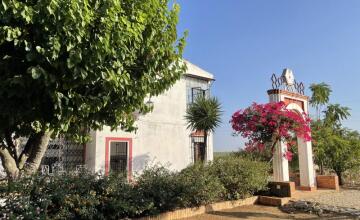 Espectacular Chalet Rústico Independiente en Amplia Parcela 4