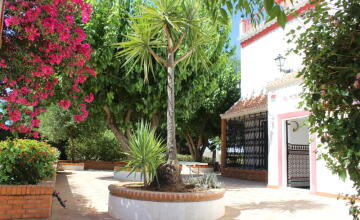 Espectacular Chalet Rústico Independiente en Amplia Parcela 5