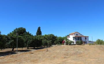 Espectacular Chalet Rústico Independiente en Amplia Parcela 18