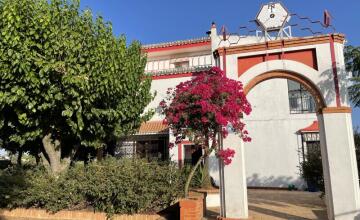 Espectacular Chalet Rústico Independiente en Amplia Parcela 2