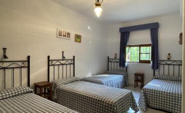 Espectacular Chalet Rústico Independiente en Amplia Parcela 15